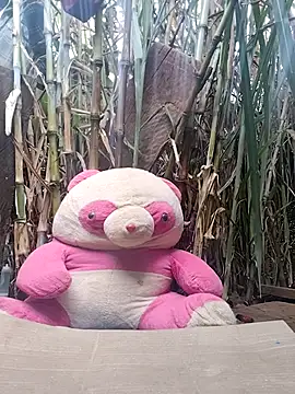 leona118 online show from 02/11/26, 01:32