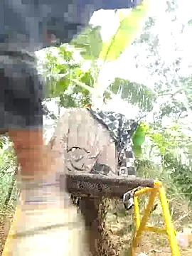 leona118 online show from 04/09/26, 01:49