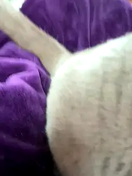 cdfemnaty online show from 01/09/26, 10:07