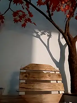 Dante Knox online show from 03/26/26, 11:21