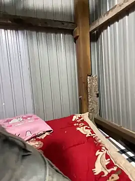 Xo xo237 online show from 03/01/26, 04:14