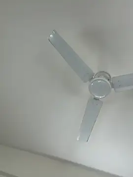 Cutenikkibaby online show from 02/23/26, 06:33