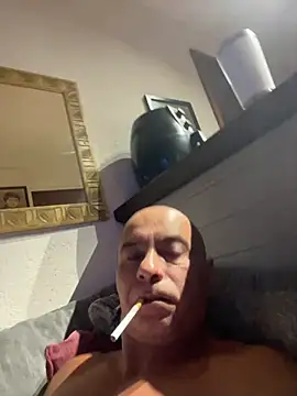 dogfrota online show from 01/11/26, 07:02