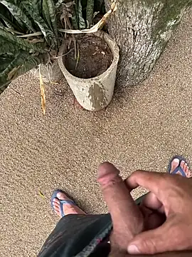 dogfrota online show from 01/11/26, 07:30