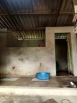 -Likin- online show from 03/31/26, 09:32