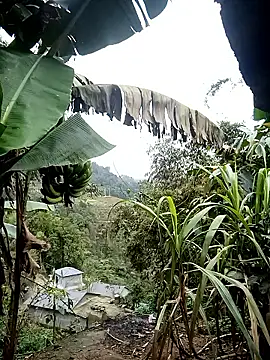 kaia-cam online show from 02/20/26, 06:37