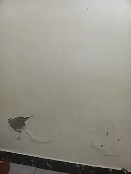 PatriciaVen online show from 02/07/26, 05:44