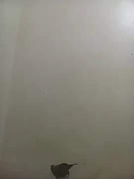 PatriciaVen online show from 02/10/26, 04:05