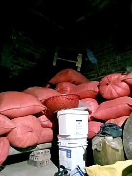 Diana-02 online show from 03/29/26, 12:16