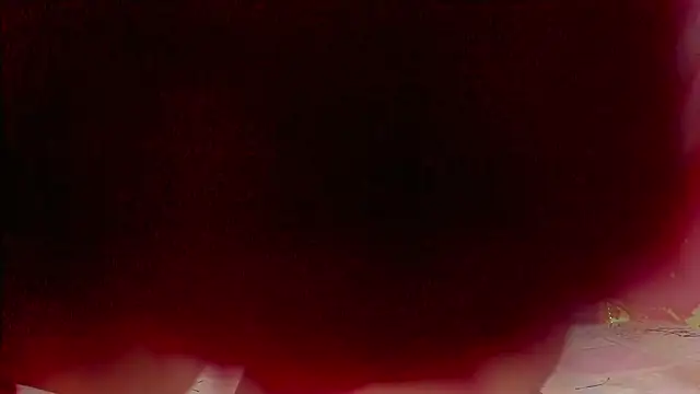 sweet  luna   online show from 02/21/26, 11:00