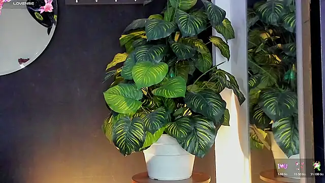 Noaah25  online show from 03/20/26, 03:22