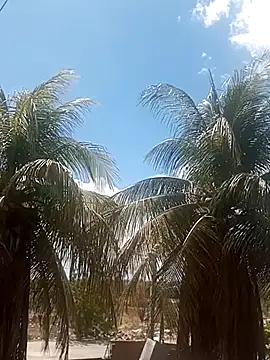  ---bucetuda    - online show from 01/16/26, 04:22