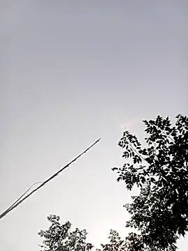 LISAA-6969 online show from 04/15/26, 08:10