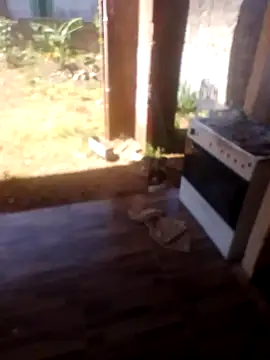 jhon Danda online show from 01/17/26, 01:27