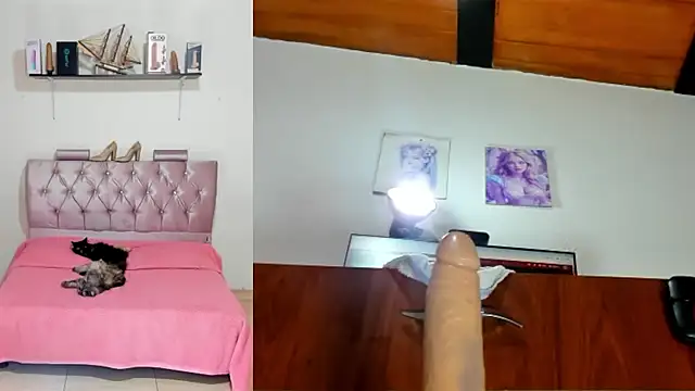 harper funny online show from 04/18/26, 07:58