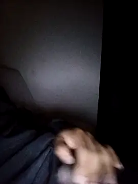 Snapshot of CorrectMusic2 chatting on 02/11/26, 09:03 CorrectMusic2 online show from 02/11/26, 09:03