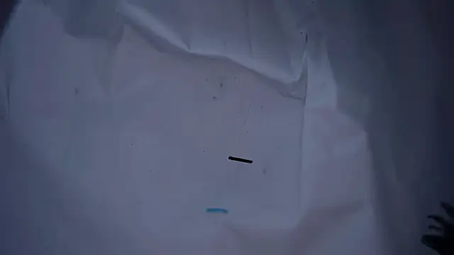 lx667788 online show from 01/16/26, 03:27