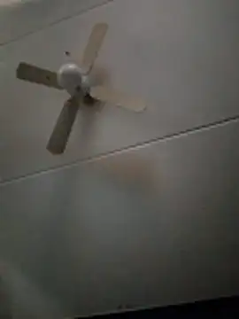 dewimp1 online show from 02/03/26, 08:52