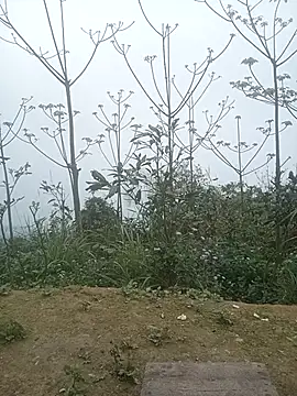 cutebobi online show from 03/02/26, 03:30