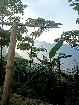 cutebobi online show from 03/30/26, 09:54