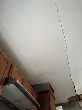 Snapshot of JoshingExegesis chatting on 02/14/26, 02:41 JoshingExegesis online show from 02/14/26, 02:41