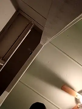 Snapshot of JoshingExegesis chatting on 03/01/26, 04:14 JoshingExegesis online show from 03/01/26, 04:14