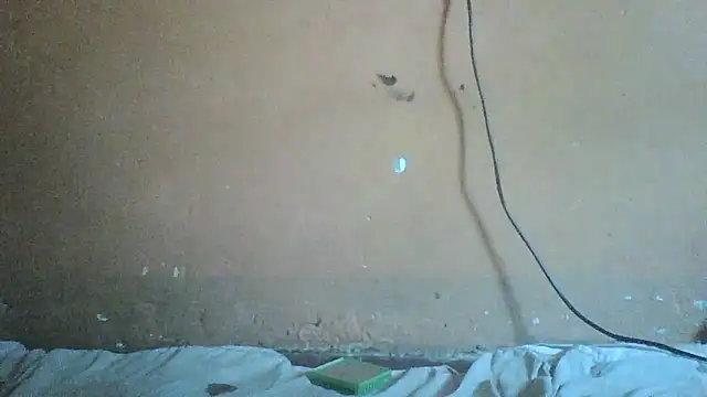 Sexyass100 online show from 04/17/26, 10:07