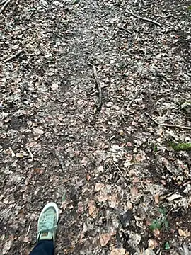 tony3729 online show from 02/28/26, 11:22