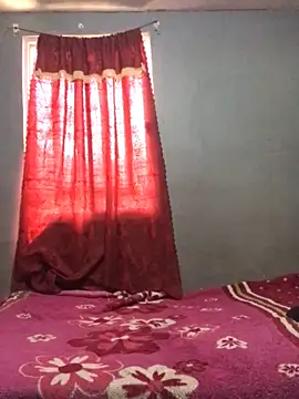 InstantPigweed online show from 03/31/26, 07:36