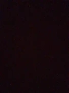 InstantPigweed online show from 04/21/26, 02:23