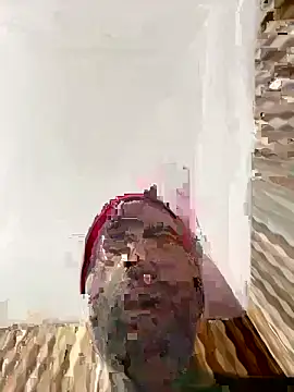 Snapshot of hardlysuck chatting on 02/04/26, 02:39 hardlysuck online show from 02/04/26, 02:39