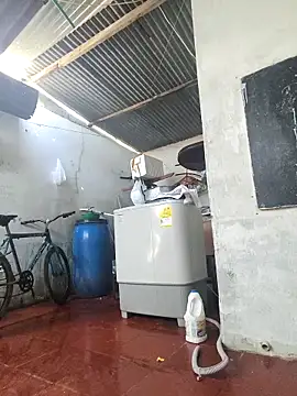 Adina Skaly online show from 03/25/26, 08:26