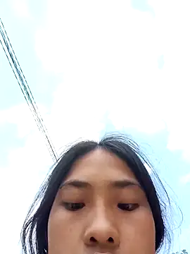 Hoa-tuylip online show from 04/11/26, 07:56