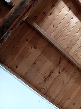 Snapshot of luna_pinky chatting on 03/01/26, 04:42 luna pinky online show from 03/01/26, 04:42