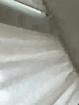 Sara0202 online show from 02/18/26, 12:01