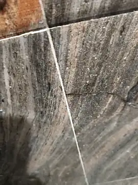 Bengal Tiger420 online show from 04/17/26, 06:33