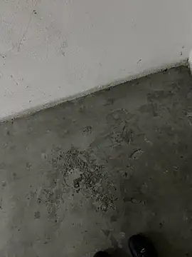 Wvpppp online show from 04/05/26, 05:32