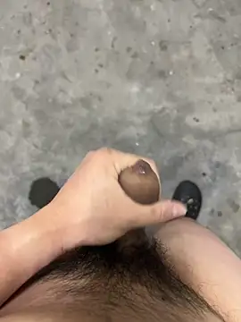 Wvpppp online show from 04/16/26, 09:54