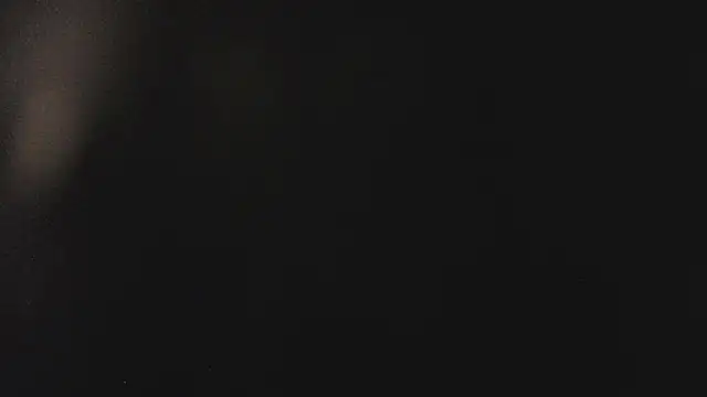 Fancy Vixen online show from 02/27/26, 03:50