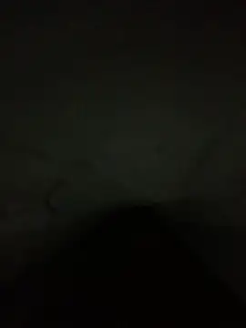 Vic187319 online show from 02/02/26, 08:57