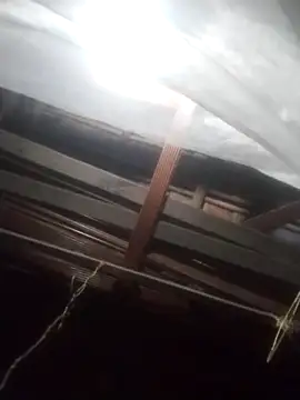 degeneradicto online show from 02/15/26, 05:04