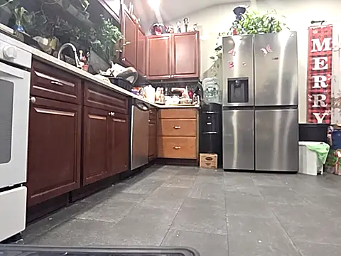 bischo666 online show from 02/24/26, 02:20