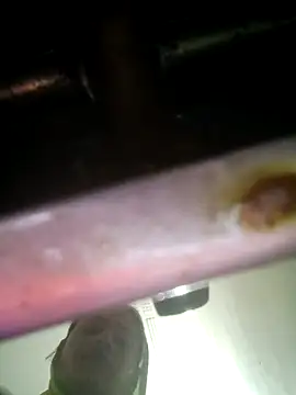 Snapshot of khushi_rawat chatting on 02/12/26, 02:17 khushi rawat online show from 02/12/26, 02:17