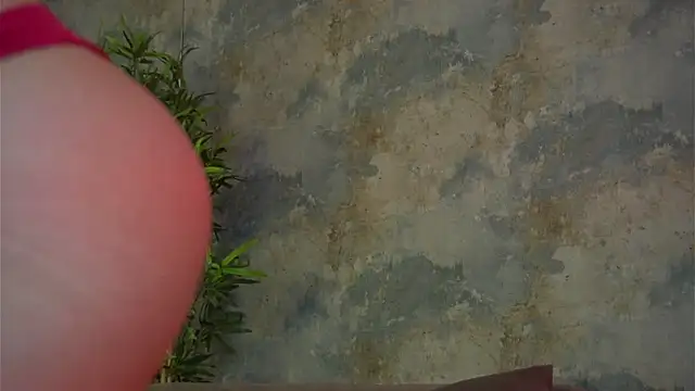 EvaBerryy online show from 04/15/26, 04:52