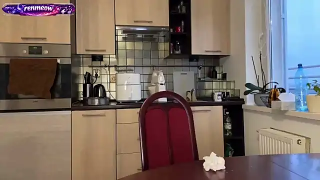 Snapshot of RenMeow chatting on 02/17/26, 04:13 RenMeow online show from 02/17/26, 04:13