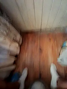 Franco10 - online show from 02/15/26, 09:11