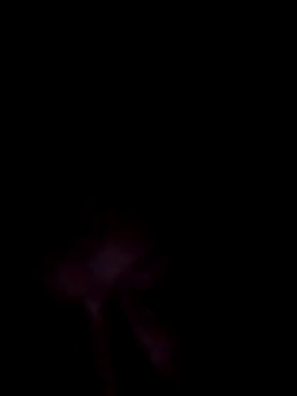 UnshodSixties online show from 06/07/26, 09:40