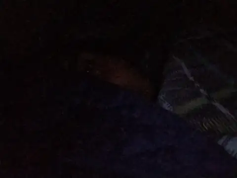 MickeySexyyy online show from 07/09/26, 03:43
