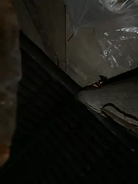 bikhidj online show from 04/13/26, 06:02