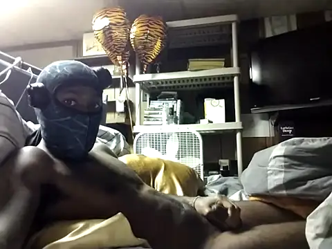 ProveYourLoyalty2 online show from 03/31/26, 07:53